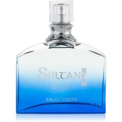 Туалетная вода для мужчин Jeanne Arthes Sultan Blue Men EDT 100 мл цена и информация | Мужские духи | hansapost.ee