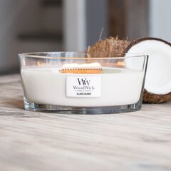 WoodWick lõhnaküünal Island Coconut, 453,6 g hind ja info | Küünlad, küünlajalad | hansapost.ee