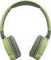 JBL JR 310BT JBLJR310BTGRN цена и информация | Kõrvaklapid | hansapost.ee