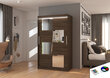 LED valgustusega kapp ADRK Furniture Lugano, tumepruun цена и информация | Kapid | hansapost.ee