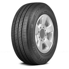 Delinte DV-2 185/80R14C 102 R цена и информация | Летняя резина | hansapost.ee