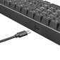 Mehaaniline klaviatuur White Shark SHINOBI GK-2022 цена и информация | Klaviatuurid | hansapost.ee