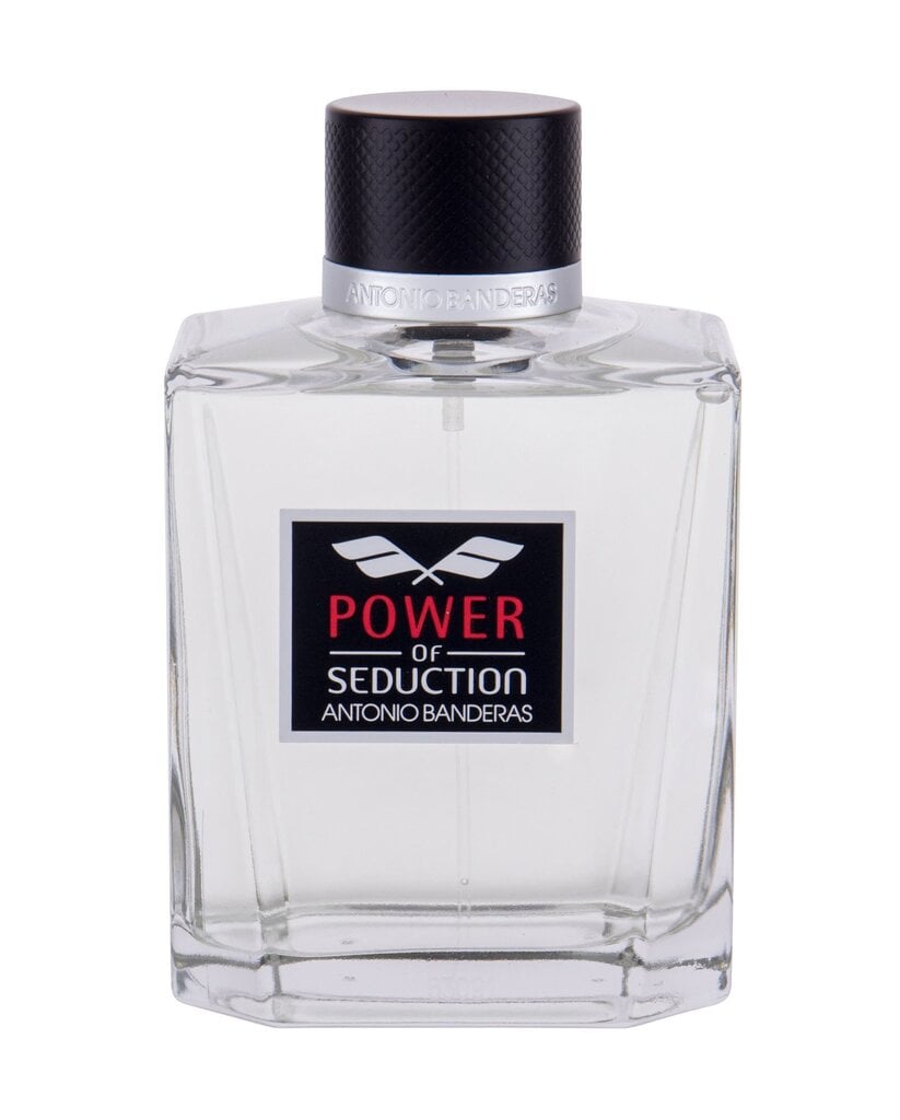 Tualettvesi Antonio Banderas Power of Seduction EDT meestele 200 ml цена и информация | Parfüümid meestele | hansapost.ee