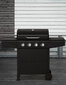 Grill Mustang Gas Albany 4 hind ja info | Grillid | hansapost.ee