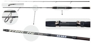 Spinning AKARA «ERION Jig (2-8) TX-30» 2X 248 cm price and information | Rods, rod holders | hansapost.ee