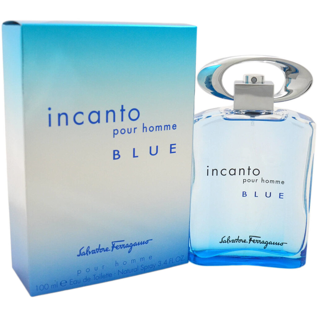 Salvatore Ferragamo Incanto Blue EDT meestele 100 ml цена и информация | Parfüümid meestele | hansapost.ee