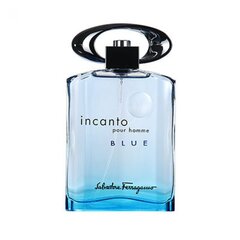 Salvatore Ferragamo Incanto Blue EDT для мужчин 100 мл цена и информация | Мужские духи | hansapost.ee