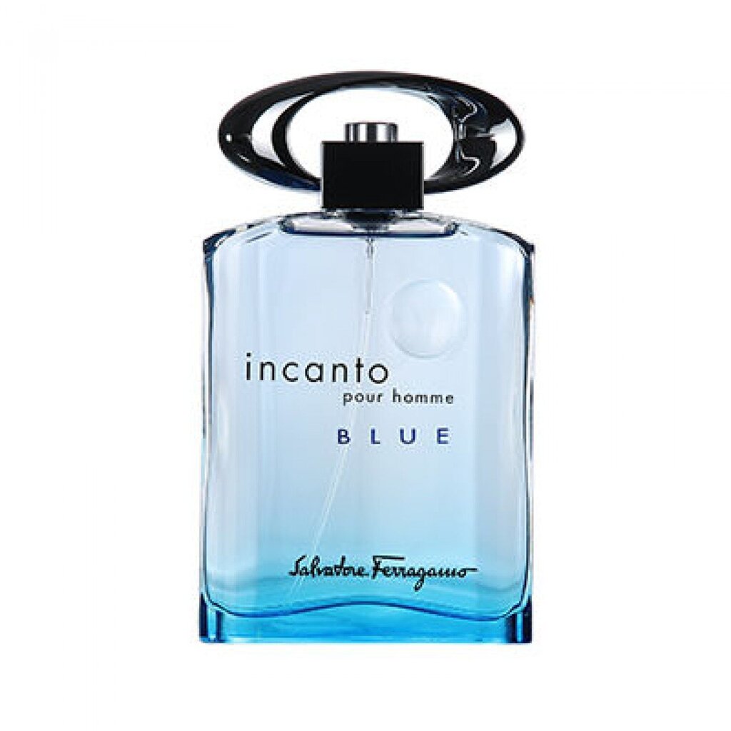 Salvatore Ferragamo Incanto Blue EDT meestele 100 ml цена и информация | Parfüümid meestele | hansapost.ee