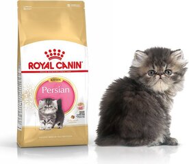 Kassitoit Pärsia tõugu kassipoegadele Royal Canin, 2 kg цена и информация | Сухой корм для кошек | hansapost.ee