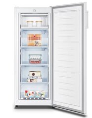 Hisense FV206D4AW1 цена и информация | Hisense Холодильники и морозилки | hansapost.ee