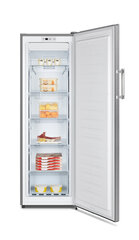 Hisense FV245N4AD1 цена и информация | Hisense Холодильники и морозилки | hansapost.ee
