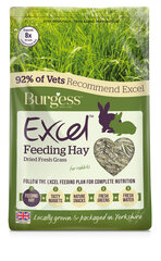 Сено Burgess Excel Dried Fresh Grass, 1кг цена и информация | Корм для грызунов | hansapost.ee
