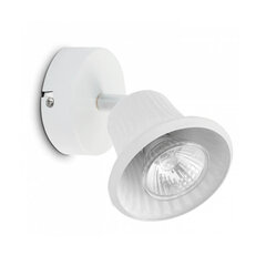 Настенный светильник Anna, белый цена и информация | Настенные светильники | hansapost.ee