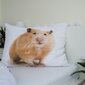 Voodipesukomplekt Hamster 140 x 200 cm + padjapüür 70 x 90 cm hind ja info | Laste voodipesu | hansapost.ee