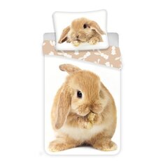 Voodipesukomplekt Bunny Brown 140 x 200 cm + padjapüür 70 x 90 cm цена и информация | Детское постельное бельё | hansapost.ee