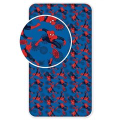 Kummiga voodilina Spiderman 06 , 90 x 200 + 25 cm hind ja info | Voodilinad | hansapost.ee