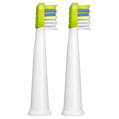 Sencor SOX 014GR hind ja info | Elektriliste hambaharjade otsikud | hansapost.ee