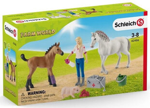 Набор фигурок Визит к ветеринару Schleich Farm World цена и информация | Schleich Товары для детей и младенцев | hansapost.ee