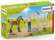 Kujukeste komplekt Veterinaari visiit Schleich Farm World hind ja info | Mänguasjad tüdrukutele | hansapost.ee