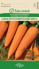 Морковь Lange rote stumfe ohne Herz 2, 5 г цена и информация | Семена овощей, ягод | hansapost.ee