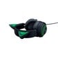 Razer Kraken Kitty Black RZ04-02980100-R3M1 цена и информация | Kõrvaklapid | hansapost.ee