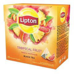Tee LIPTON troopiliste puuviljade maitsega, 20 tk hind ja info | Tee | hansapost.ee