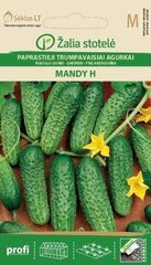 Огурцы MANDY H цена и информация | Семена овощей, ягод | hansapost.ee