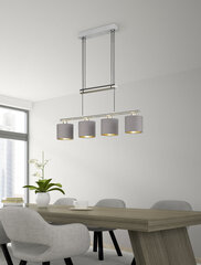 Trio подвесной светильник Garda цена и информация | Trio Мебель и домашний интерьер | hansapost.ee