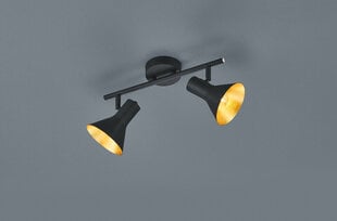 Точечный светильник (спот) Nina 2 лампы 2xE14 цена и информация | Потолочные светильники | hansapost.ee