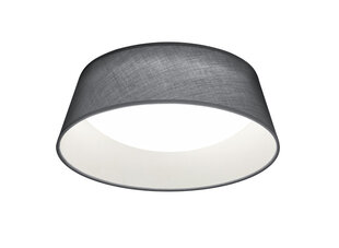 Потолочный светильник Ponts LED, 34 см, серый цена и информация | Потолочные светильники | hansapost.ee