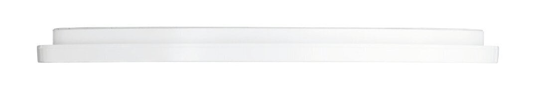 Camillus LED plafoon 40 cm valge IP44 цена и информация | Laelambid | hansapost.ee