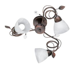 Laevalgusti Traditio, 3-osaline, 3xE14, rustikaalne 920021971 price and information | Ceiling lamps | hansapost.ee