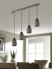 Trio подвесной светильник Onyx цена и информация | Потолочный светильник, 38 x 38 x 24 см | hansapost.ee