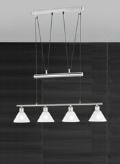 Trio подвесной светильник Stamina цена и информация | Потолочный светильник, 38 x 38 x 24 см | hansapost.ee