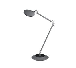 Настольная светодиодная лампа Roderic, черная цена и информация | Настольная лампа | hansapost.ee