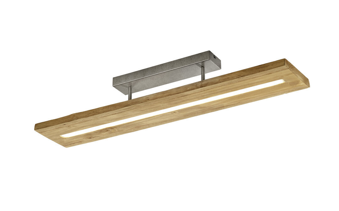 Led laevalgusti Brad, 100 cm 920022163 hind ja info | Laelambid | hansapost.ee