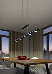 Подвесной светильник Lacal, черный матовый, 920051869 цена и информация | Люстры | hansapost.ee
