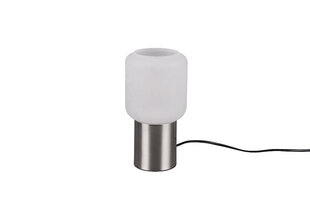Настольная лампа Nico, E27, матовая сталь цена и информация | Настольные лампы | hansapost.ee