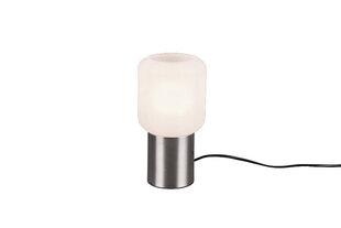 Настольная лампа Nico, E27, матовая сталь цена и информация | Настольные лампы | hansapost.ee