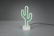 Trio LED laualamp Cactus hind ja info | Laualambid | hansapost.ee