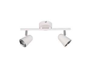 Toulouse LED kohtvalgusti 2-os. valge sis 2x3,5 W 400 lm hind ja info | Laelambid | hansapost.ee