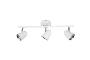 Toulouse LED kohtvalgusti 3-os. valge sis 3x3,5 W 400 lm hind ja info | Laelambid | hansapost.ee