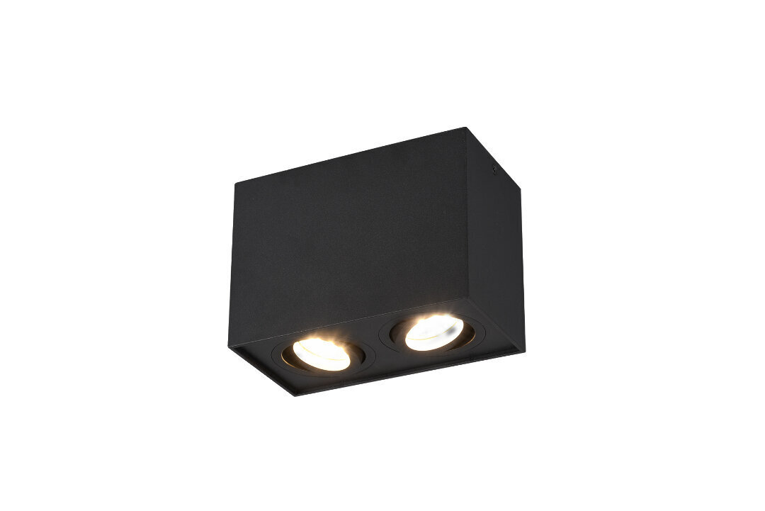 Biscuit LED lae kohtvalgusti 1-os. 2XGU10 mustmatt hind ja info | Laelambid | hansapost.ee