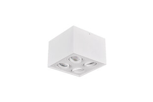 Biscuit LED lae kohtvalgusti 1-os. 4XGU10 valgematt hind ja info | Laelambid | hansapost.ee