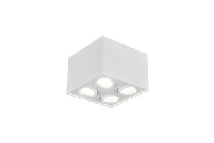 Biscuit LED lae kohtvalgusti 1-os. 4XGU10 valgematt hind ja info | Laelambid | hansapost.ee