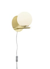 Настенный светильник Pure 1xE14 латунный матовый белый кабель цена и информация | Настенный светильник Конусы | hansapost.ee