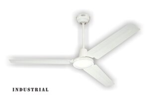 INDUSTRIAL Ø142 см, белый, стальные лопасти, потолочный вентилятор с настенным управлением цена и информация | Вентиляторы | hansapost.ee