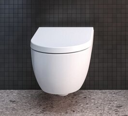 Подвесной унитаз Ideal Standard WC Blend Curve Aquablade с медленно открывающейся крышкой T374901 / T376001 цена и информация | Унитазы | hansapost.ee