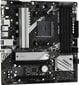 ASRock A520M PRO4 hind ja info | Emaplaadid | hansapost.ee