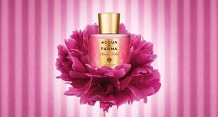 Parfüümvesi Acqua di Parma Peonia Nobile EDP naistele, 20 ml цена и информация | Женские духи | hansapost.ee